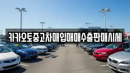 경기도 광주시 남한산성면 중고차매입 전문 카카오토중고차매입매매수출판매시세