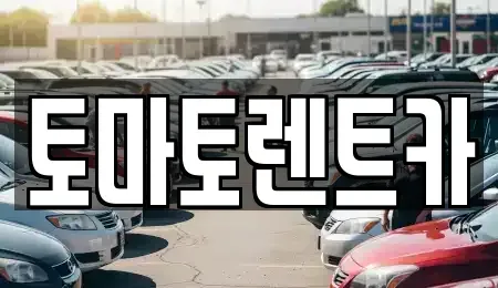 경기도 광주시 능평동 렌트카 전문 토마토렌트카