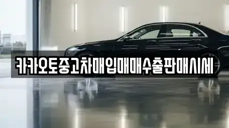 경기도 광주시 능평동 중고차매입 전문 카카오토중고차매입매매수출판매시세