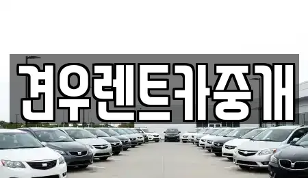 경기도 남양주시 수석동 장기렌트카 전문 견우렌트카중개