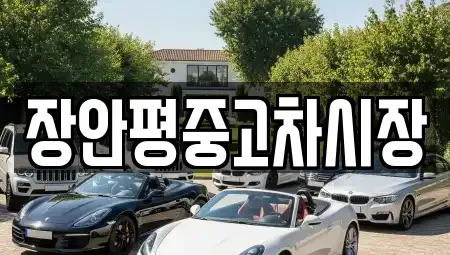 경기도 남양주시 수석동 중고차 전문 장안평중고차시장