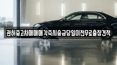 경기도 남양주시 일패동 중고차 전문 관허중고차매매매각즉시송금당일이전무료출장견적