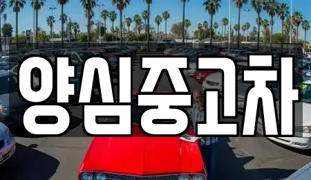 경기도 남양주시 일패동 중고차매매 전문 양심중고차