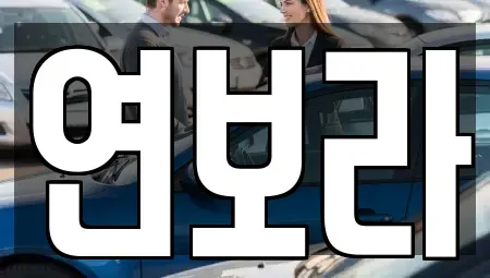 경기도 동두천시 렌트카 전문 연보라