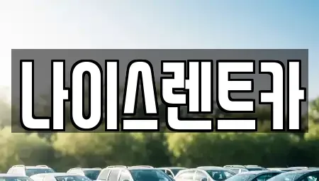 경기도 부천시 원미구 도당동 렌트카 전문 나이스렌트카