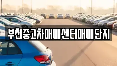 경기도 부천시 원미구 도당동 중고차매매 전문 부천중고차매매센터매매단지