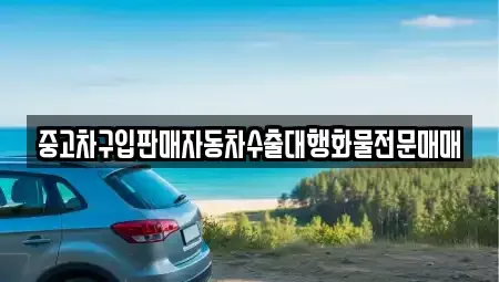 경기도 부천시 원미구 도당동 중고차매매 전문 중고차구입판매자동차수출대행화물전문매매