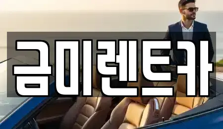 경기도 부천시 원미구 소사동 렌트카 전문 금미렌트카