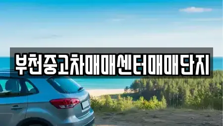 경기도 부천시 원미구 소사동 중고차매매 전문 부천중고차매매센터매매단지