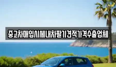 경기도 부천시 원미구 소사동 중고차매입 전문 중고차매입시세내차팔기견적가격수출업체