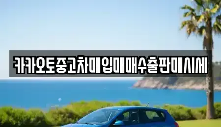 경기도 부천시 원미구 소사동 중고차매입 전문 카카오토중고차매입매매수출판매시세