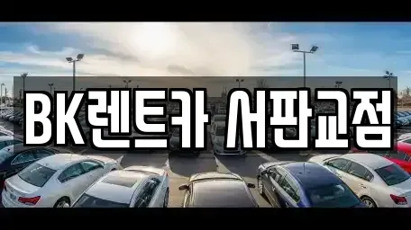 경기도 성남시 분당구 대장동 렌트카 전문 BK렌트카 서판교점