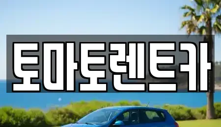 경기도 성남시 분당구 대장동 렌트카 전문 토마토렌트카