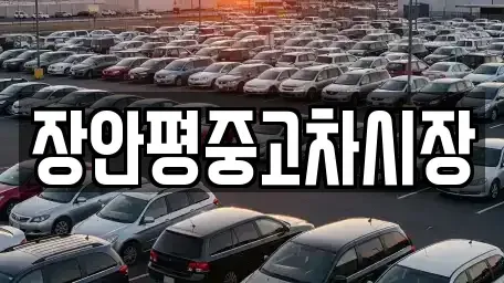 경기도 성남시 분당구 대장동 중고차매매 전문 장안평중고차시장