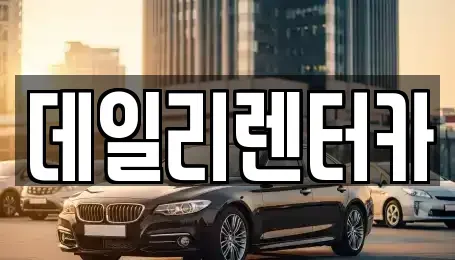 경기도 성남시 분당구 삼평동 단기렌트카 전문 데일리렌터카