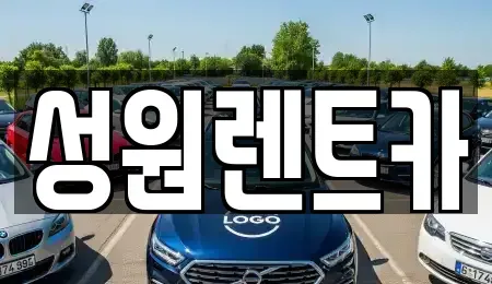 경기도 성남시 분당구 삼평동 렌트카 전문 성원렌트카