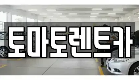 경기도 성남시 분당구 삼평동 렌트카 전문 토마토렌트카