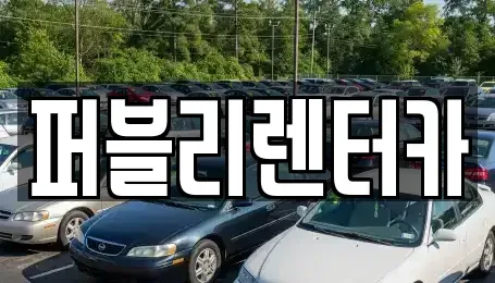 경기도 성남시 분당구 삼평동 렌트카 전문 퍼블리렌터카