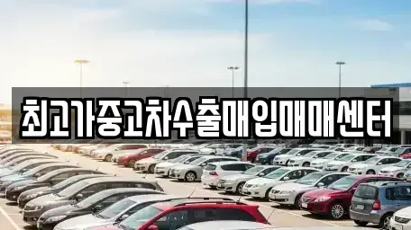 경기도 성남시 분당구 삼평동 중고차매입 전문 최고가중고차수출매입매매센터