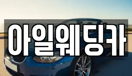 경기도 성남시 수정구 수진동 단기렌트카 전문 아일웨딩카