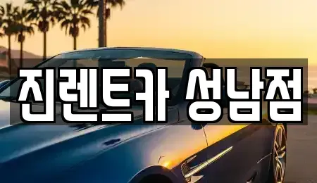 경기도 성남시 수정구 수진동 단기렌트카 전문 진렌트카 성남점