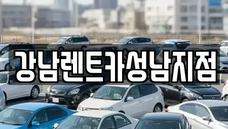 경기도 성남시 수정구 수진동 렌트카 전문 강남렌트카성남지점