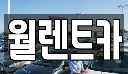 경기도 성남시 수정구 수진동 렌트카 전문 월렌트카