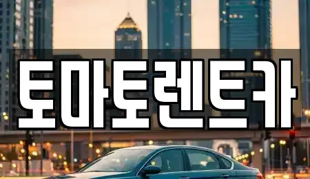 경기도 성남시 수정구 수진동 렌트카 전문 토마토렌트카
