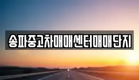 경기도 성남시 수정구 수진동 중고차 전문 송파중고차매매센터매매단지