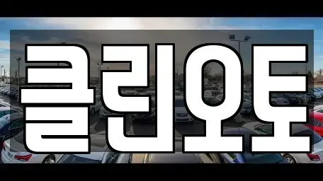 경기도 성남시 수정구 수진동 중고차 전문 클린오토