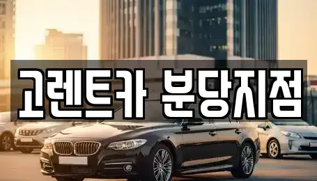 경기도 수원시 권선구 세류동 단기렌트카 전문 고렌트카 분당지점