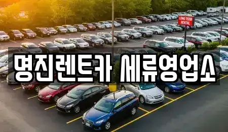 경기도 수원시 권선구 세류동 렌트카 전문 명진렌트카 세류영업소