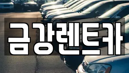경기도 수원시 장안구 율전동 렌트카 전문 금강렌트카