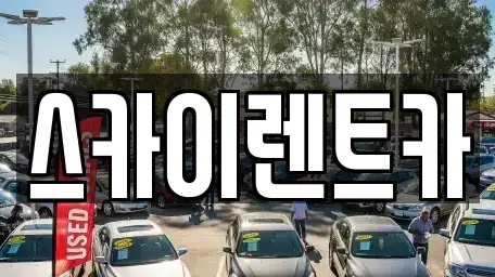 경기도 수원시 장안구 율전동 장기렌트카 전문 스카이렌트카