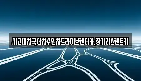 경기도 시흥시 신천동 장기렌트카 전문 사고대차국산차수입차드라이브렌터카,장기리스렌트카