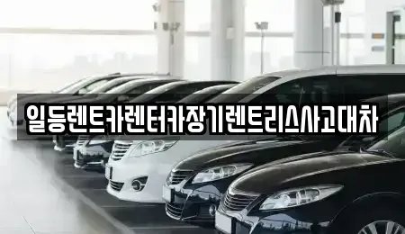 경기도 시흥시 신천동 장기렌트카,중고차,렌트카,단기렌트카,중고차매입,중고차매매