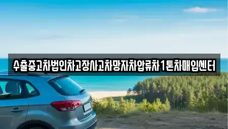 경기도 시흥시 신천동 중고차 전문 수출중고차법인차고장사고차망자차압류차1톤차매입센터