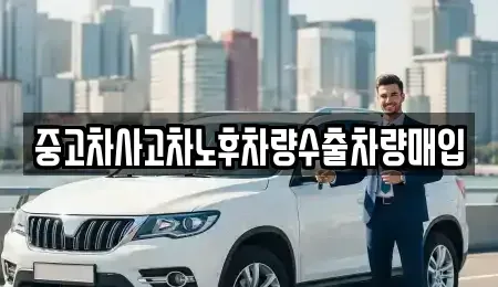 경기도 시흥시 신천동 중고차 전문 중고차사고차노후차량수출차량매입