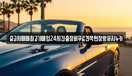 경기도 시흥시 신천동 중고차매매 전문 중고차매매최고가매입24시간출장비무료견적현장방문지누카