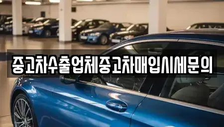경기도 시흥시 신천동 중고차매입 전문 중고차수출업체중고차매입시세문의