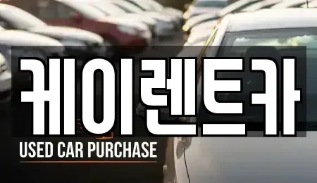 경기도 안산시 상록구 일동 렌트카 전문 케이렌트카