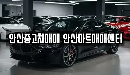 경기도 안산시 상록구 일동 중고차 전문 안산중고차매매 안산마트매매센터