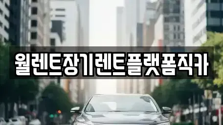 경기도 안성시 발화동 렌트카 전문 월렌트장기렌트플랫폼직카