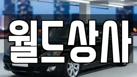 경기도 안성시 발화동 중고차 전문 월드상사