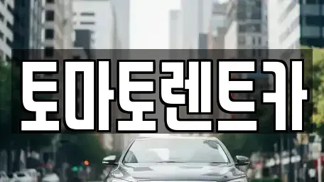 경기도 양평군 용문면 렌트카 전문 토마토렌트카