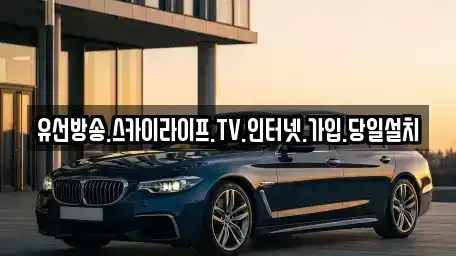경기도 양평군 용문면 중고차매입 전문 유선방송.스카이라이프.TV.인터넷.가입.당일설치
