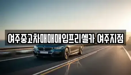 경기도 여주시 신진동 중고차 전문 여주중고차매매매입프리셀카 여주지점