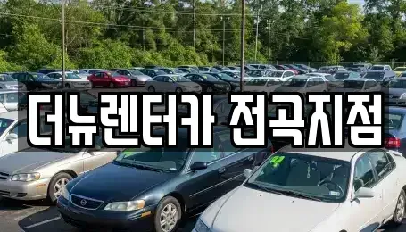 경기도 연천군 군남면 렌트카 전문 더뉴렌터카 전곡지점