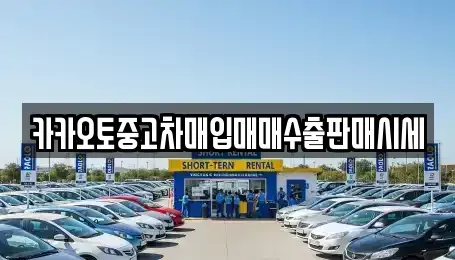 경기도 연천군 왕징면 중고차 전문 카카오토중고차매입매매수출판매시세