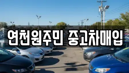 경기도 연천군 중고차매매 전문 연천원주민 중고차매입